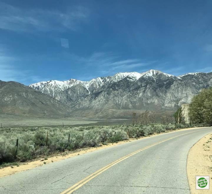 On the Road Again