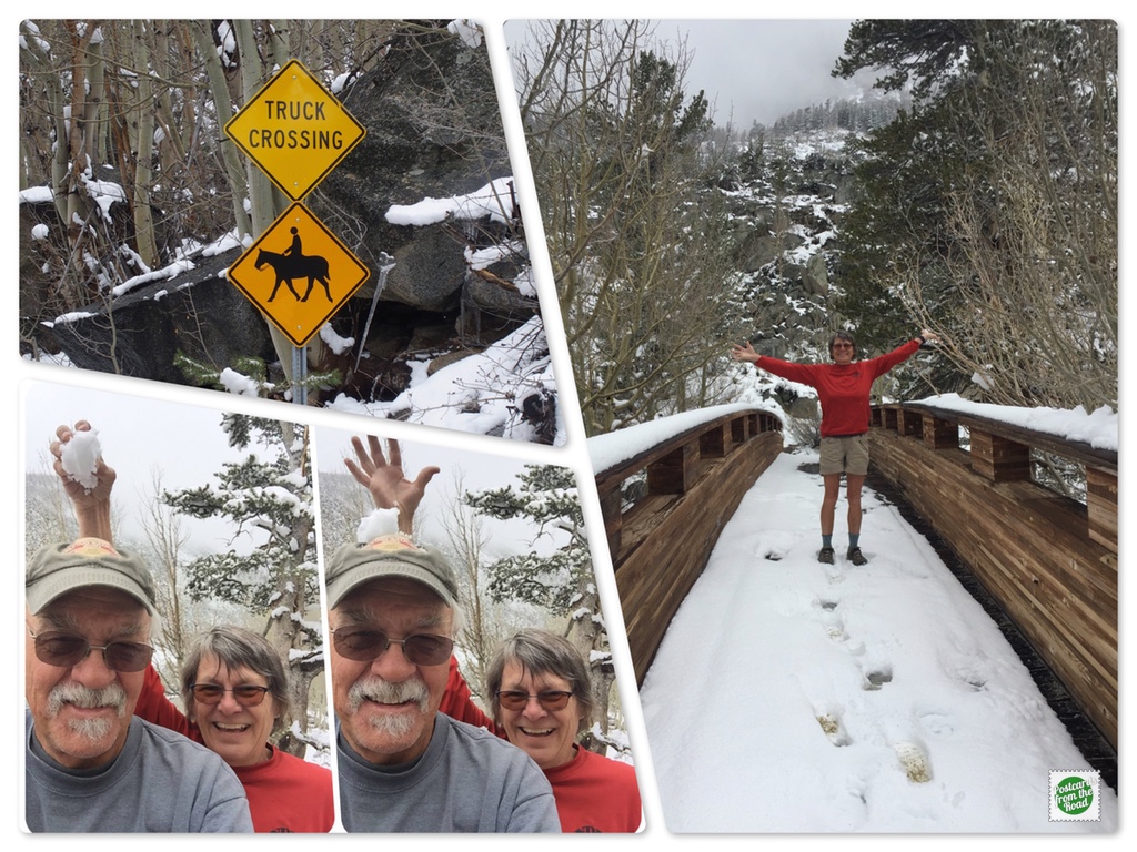 Tyee Lakes Trailhead