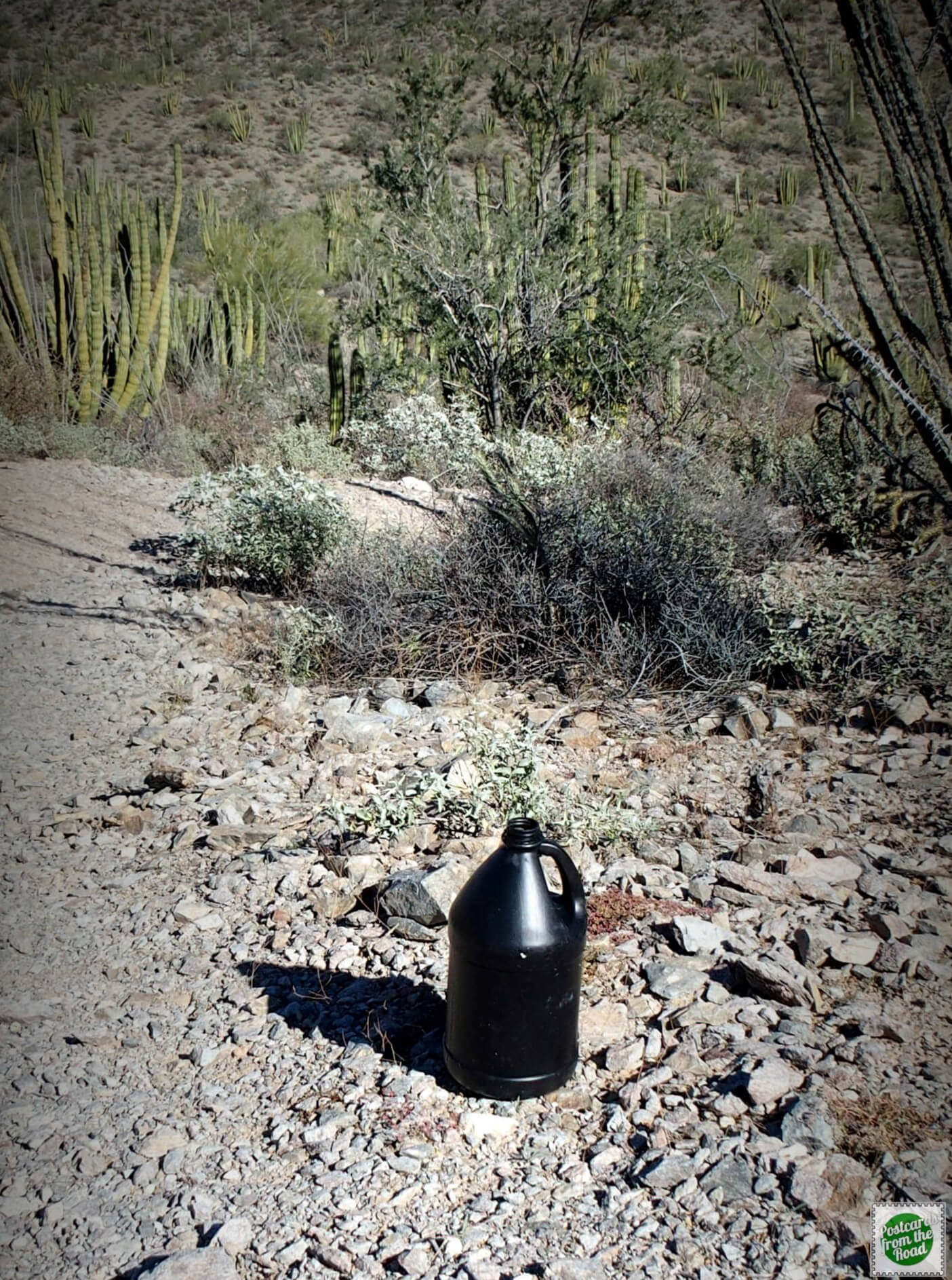 black jug